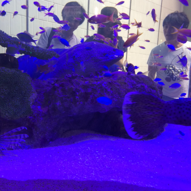 pic20140803223031_1.jpg