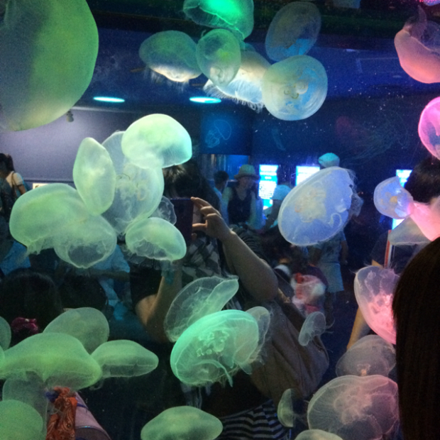 pic20140814132124_1.jpg