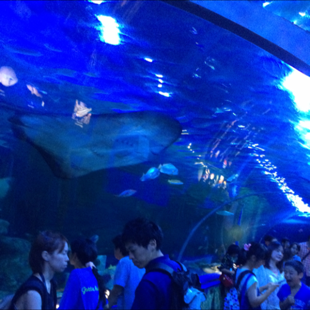 pic20140814132124_2.jpg
