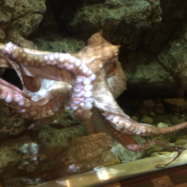 pic20140814132125_3.jpg