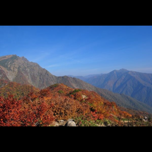 pic20141029133621_1.jpg