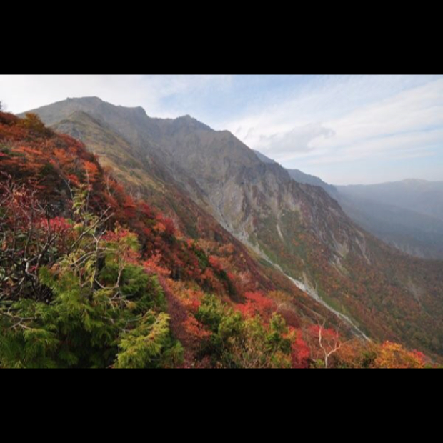 pic20141029133621_2.jpg
