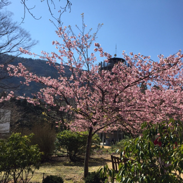 pic20160410071306_1.jpg