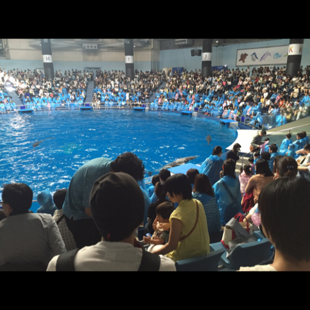 pic20160504161030_1.jpg