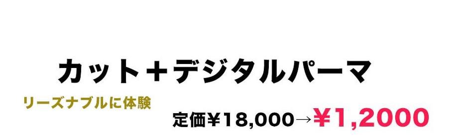 カット＋デジタルパーマ￥１２０００（税別）